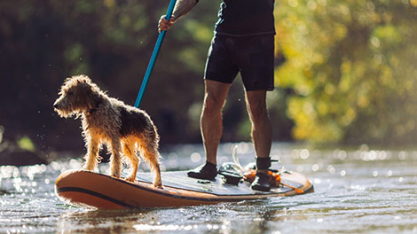 When to rebalance your portfolio