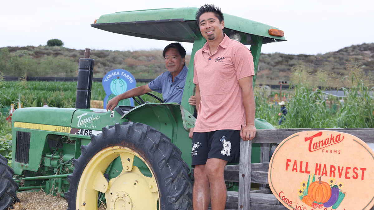 Two men on a tractor in a farm field.
