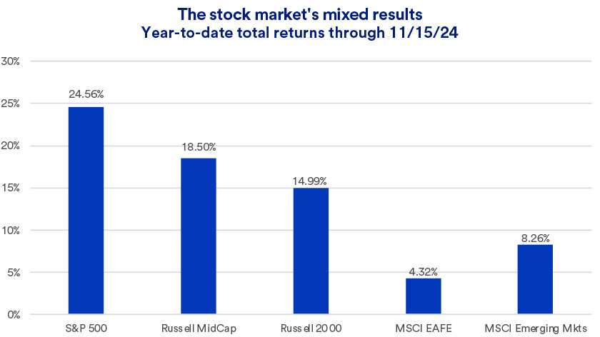 Chart depicts 2024 returns across a range of stock market indices through 11/15/2024.