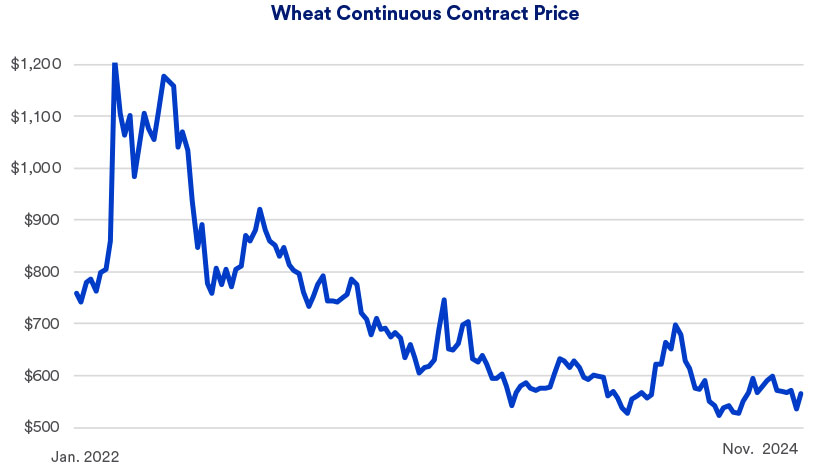 Chart depicts wheat prices on the Chicago Board of Trade between January 2022 - November 22, 2024.